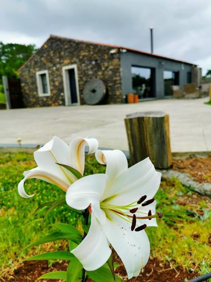 Villa Quinta De Sao Jose Sao Pedro  Exterior foto